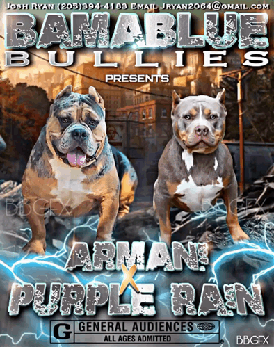 Read more about the article Armani X Purple Rain