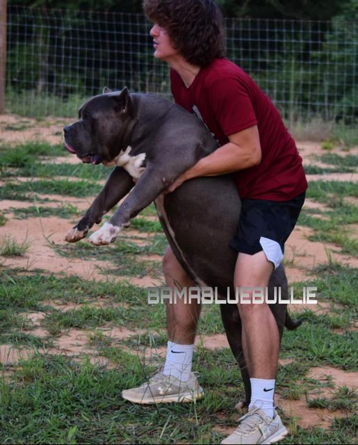 #Bamanews 
 Picking up 150 pounds is not easy
 He had to find out the hard way
 ...